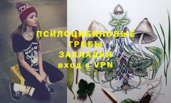 2c-b Болотное