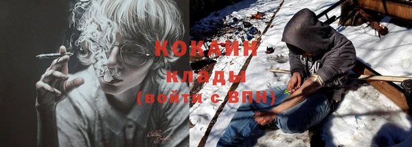 винт Новозыбков