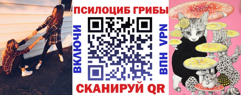 Галлюциногенные грибы GOLDEN TEACHER  наркотики  Советская Гавань 