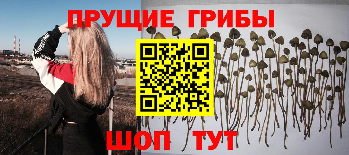 Галлюциногенные грибы ЛСД Советская Гавань