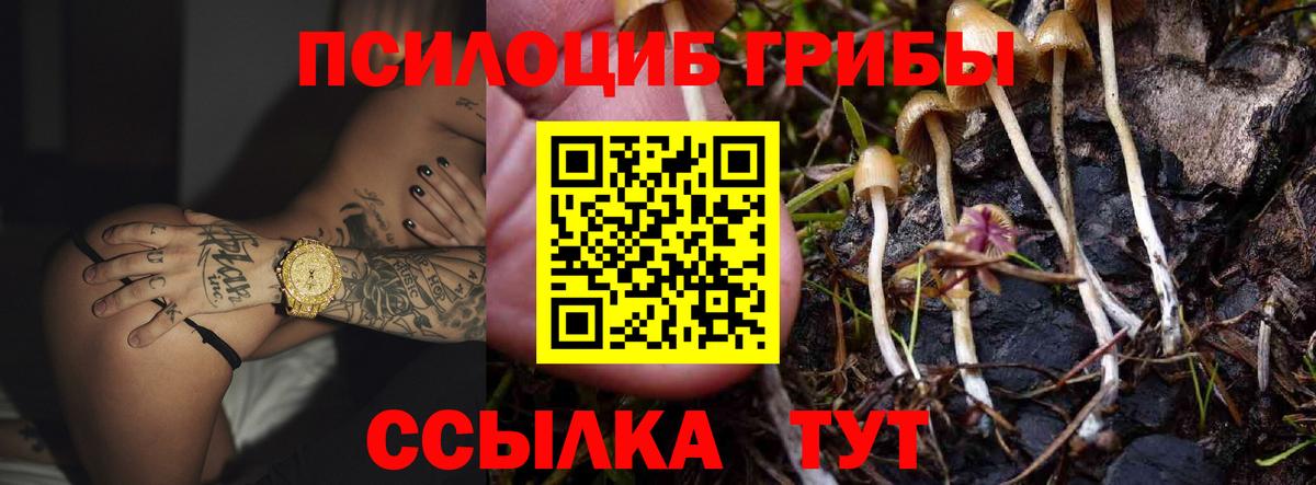 Псилоцибиновые грибы MAGIC MUSHROOMS  Псилоцибиновые грибы мицелий  Советская Гавань 