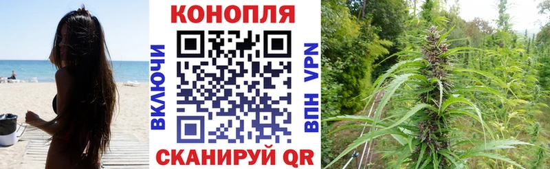 Бошки марихуана Bruce Banner  Советская Гавань 